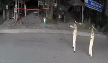 Tông CSGT để trốn đo nồng độ cồn, tài xế 20 tuổi đi ô tô của bố bị khởi tố tội Giết người-3