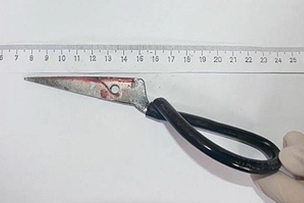 Sau bữa tiệc cuối năm, con rể đâm mẹ vợ và chị vợ thương vong-2