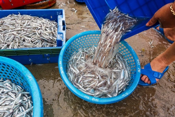 Thêm một thứ vào máy giặt, quần áo sẽ hạn chế bị tĩnh điện mùa đông: Đơn giản nhưng không phải ai cũng biết-6