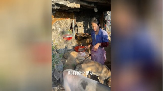 Trung Quốc: Thanh niên 21 tuổi nghỉ hưu, về dựng lều sống cheo leo trên núi-2
