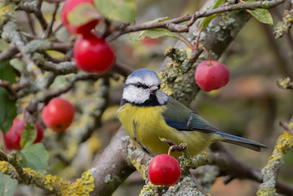 Ai sinh vào ngày Âm lịch này sức sống dồi dào, hậu vận may mắn, sung túc-3