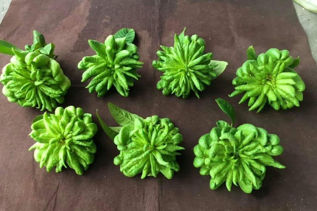 Lý do đặc biệt khiến nhiều người bày phật thủ trên bàn thờ ngày Tết-5