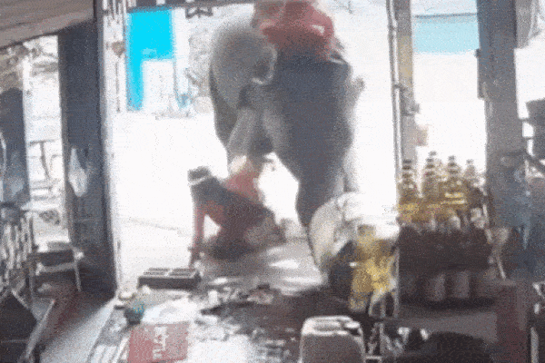 Clip: Giải cứu voi con rơi xuống giếng sâu hơn 7m-1