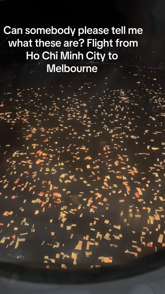 Cảnh tượng kỳ quái trên chuyến bay từ Việt Nam thu hút 15 triệu lượt xem, màn lý giải khiến dân mạng quốc tế trầm trồ: Quá đỉnh!-1