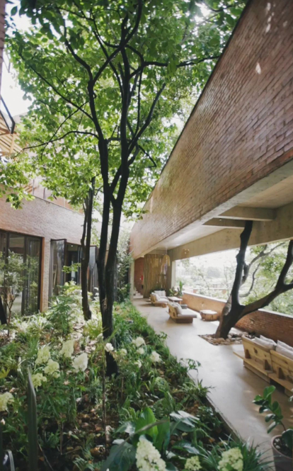 Rút tiền tiết kiệm hơn 15 năm để xây nhà cho bố mẹ dưỡng già, cô gái trẻ khiến cư dân mạng thán phục-10