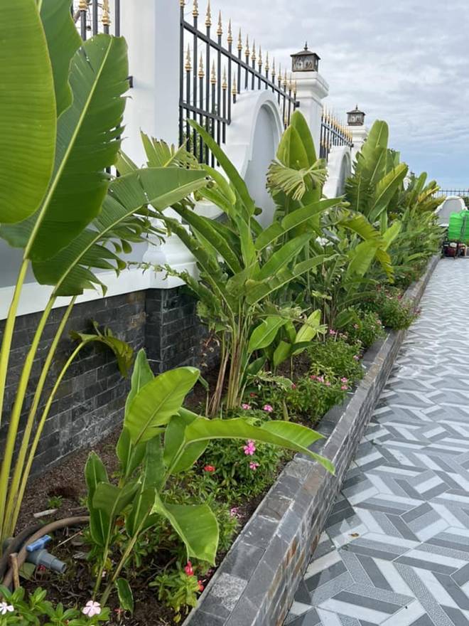 Cặp bố bỉm hot nhất miền Tây Hà Trí Quang - Thanh Đoàn trang trí biệt thự cực hút mắt mừng sinh nhật con sinh đôi-18