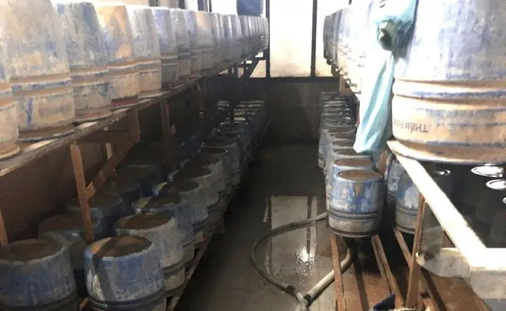 Phát hiện 2 cơ sở dùng hóa chất cấm ủ giá đỗ-1