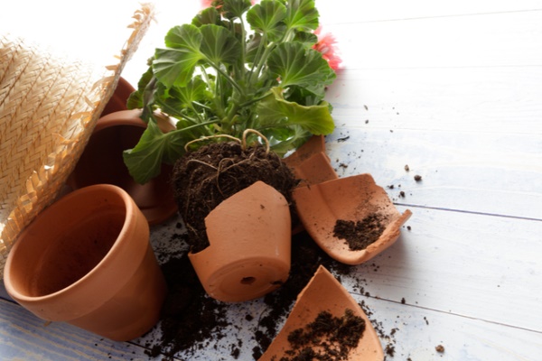 Bốn thứ để trước cửa sẽ xua đuổi Thần Tài vào nhà, có thứ quen thuộc mà chẳng mấy ai để ý-4