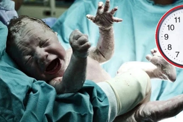 Bức ảnh chụp bóng lưng của một học sinh tiểu học lập tức gây bão mạng: Gia đình có mỏ vàng à?-2