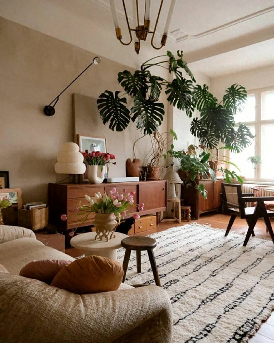 4 cây cảnh chữa lành trồng trong nhà tươi xanh, tao nhã, lọc không khí, dưỡng tâm hồn-1