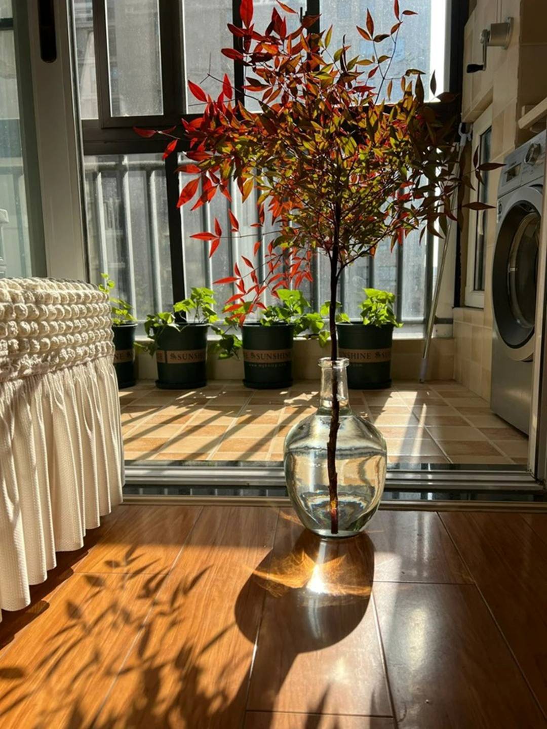 4 cây cảnh chữa lành trồng trong nhà tươi xanh, tao nhã, lọc không khí, dưỡng tâm hồn-5