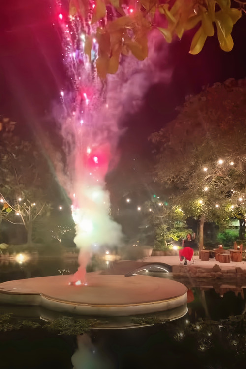 Trong video mừng năm mới, ca sĩ Mỹ Tâm để lộ biệt phủ rộng lớn-2