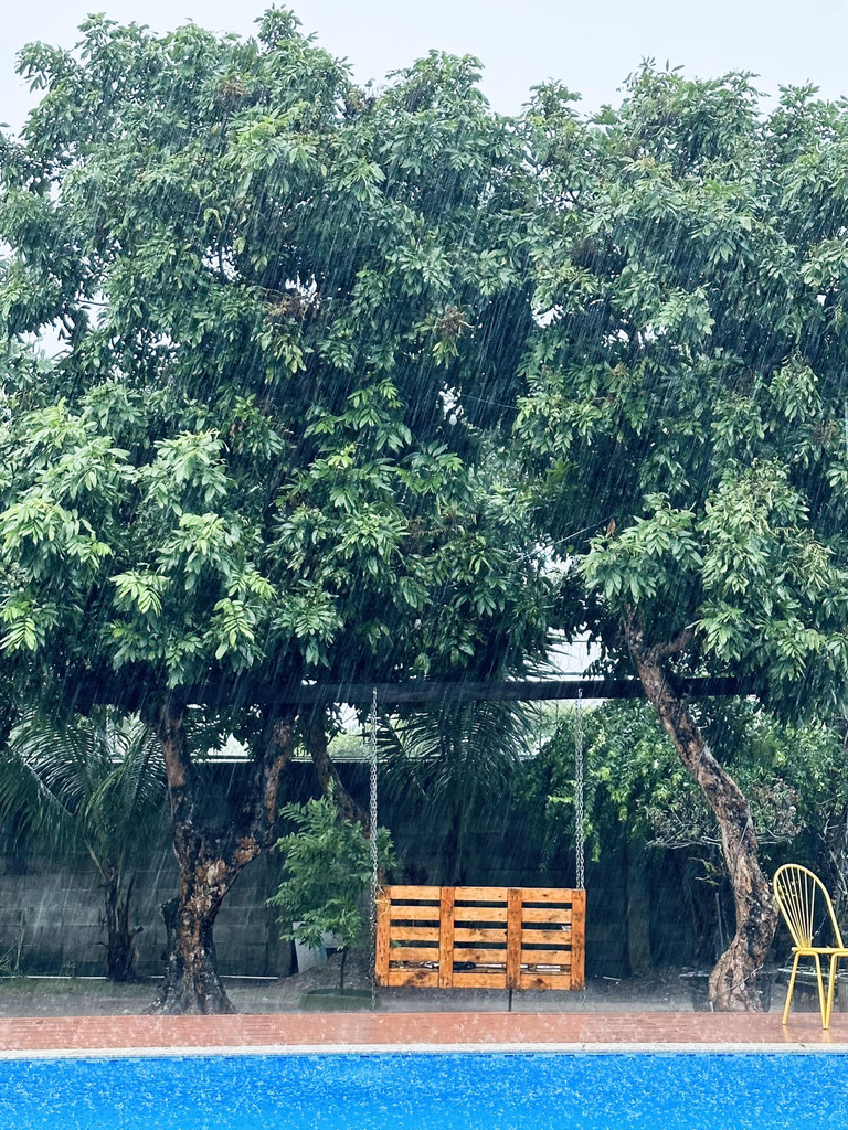 Trong video mừng năm mới, ca sĩ Mỹ Tâm để lộ biệt phủ rộng lớn-5