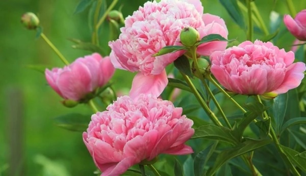 Có tài có đức, người sinh tháng Âm lịch này năm 2024 thăng tiến vượt bậc, tiền bạc dư dả-2