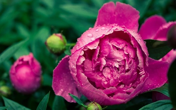 Có tài có đức, người sinh tháng Âm lịch này năm 2024 thăng tiến vượt bậc, tiền bạc dư dả-3