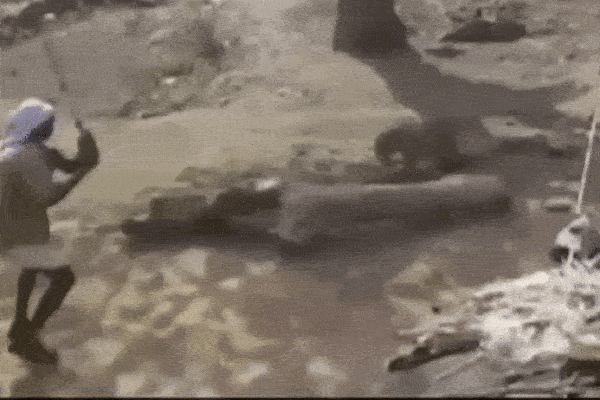 Clip: Chạm mặt báo hoa mai, bé trai có màn xử lý cực thông minh-1