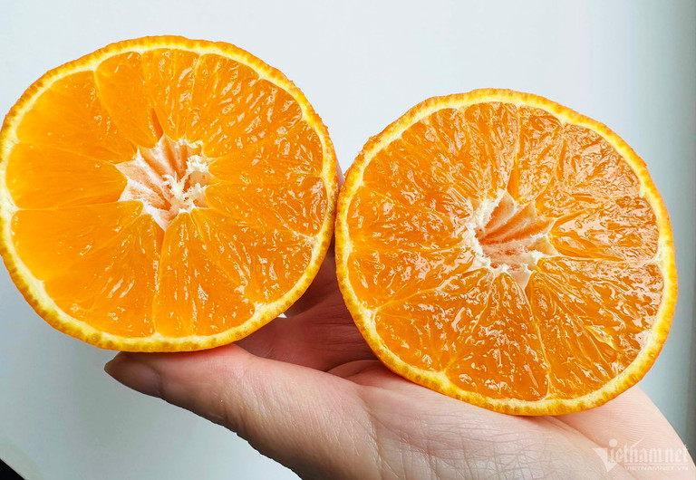 Quýt chum Nhật giá hơn triệu đồng mỗi kg, hàng Trung Quốc dội chợ chỉ 20.000 đồng-1