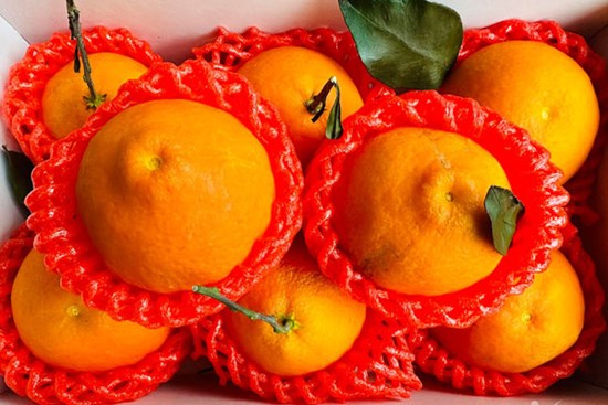 Quýt chum Nhật giá hơn triệu đồng mỗi kg, hàng Trung Quốc dội chợ chỉ 20.000 đồng