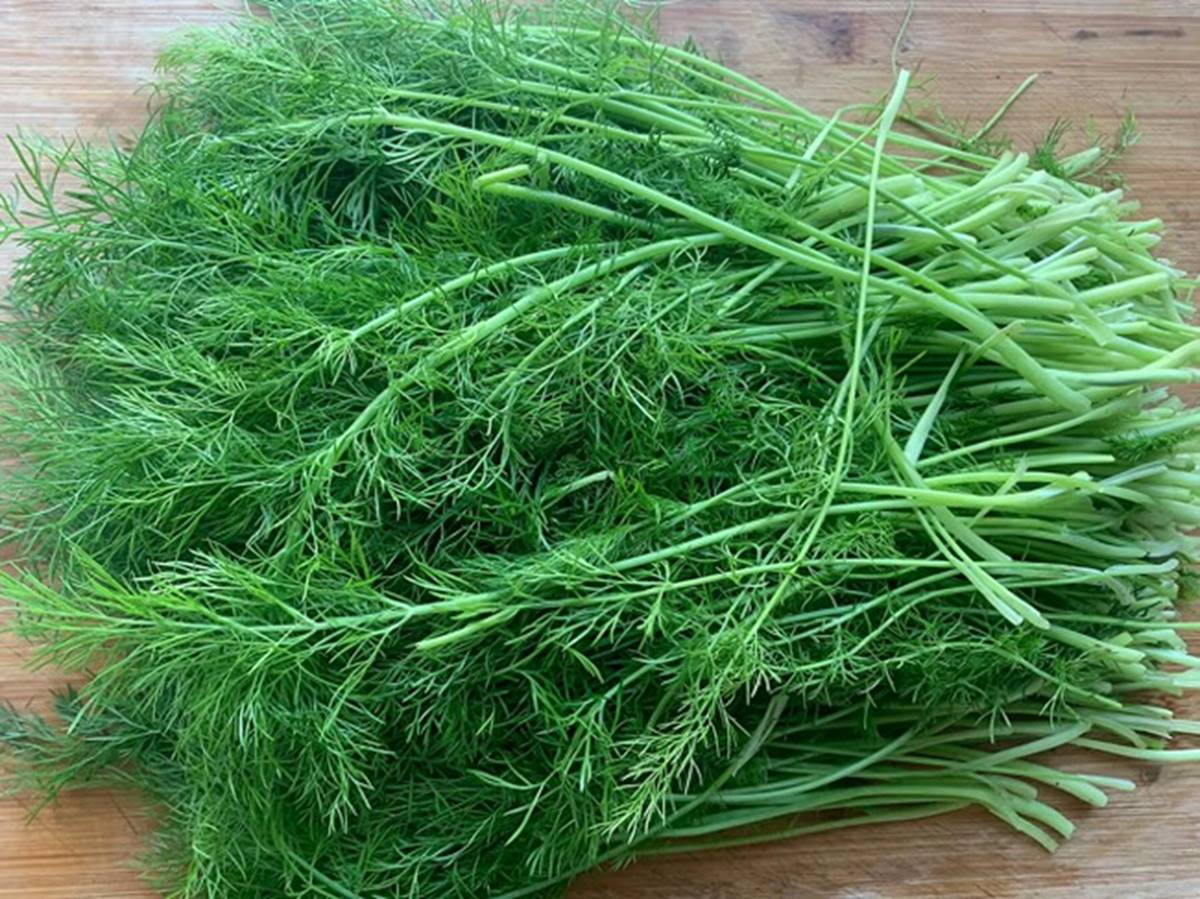 Loại rau nhỏ mà có võ, penicillin cao gấp 50 lần tỏi, ăn nhiều giảm cảm cúm, làm bánh cực thơm-1
