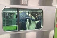 Nhật Bản bắt giữ phụ nữ đâm dao hàng loạt trên tàu điện