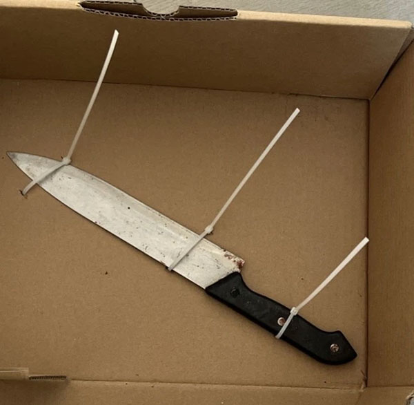 Sau bữa tiệc cuối năm, con rể đâm mẹ vợ và chị vợ thương vong-1