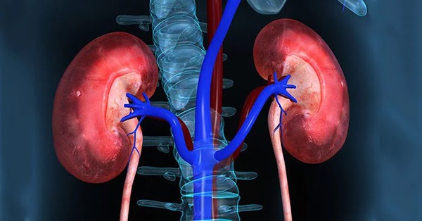 TikToker triệu view suy thận độ 3 vì nhiều thói quen xấu-2