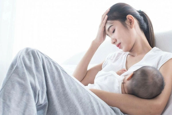 Tôi phát ốm kể từ khi chị chồng đến nhà làm giúp việc-2