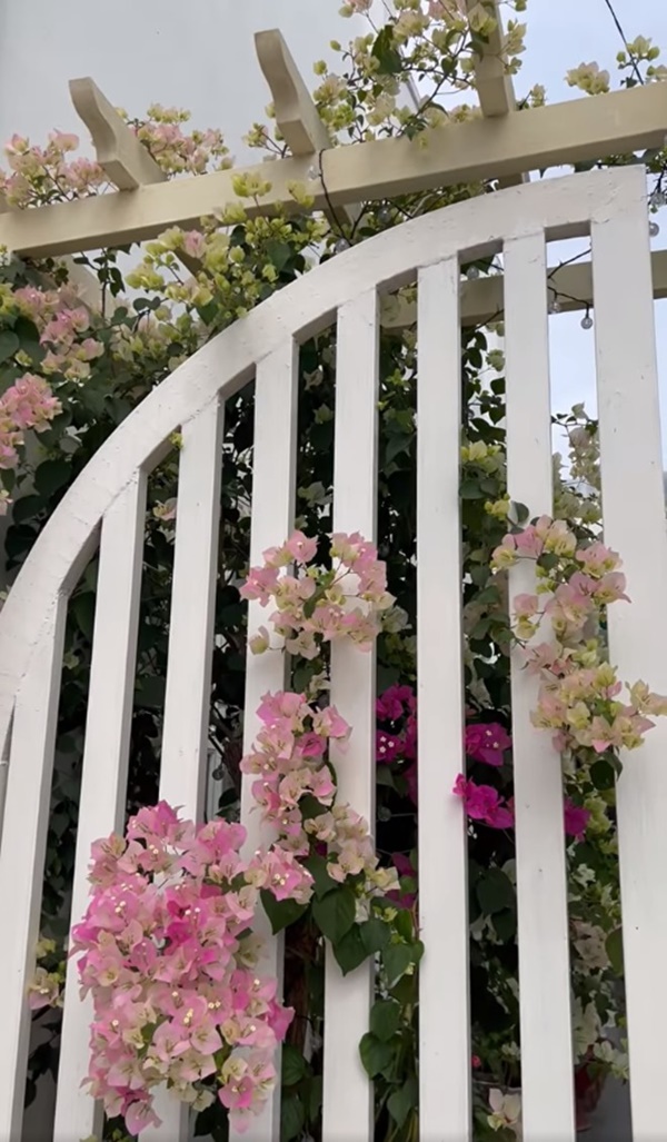 Vợ Mạc Hồng Quân hiếm hoi khoe không gian biệt thự khi vừa hoàn thiện-3