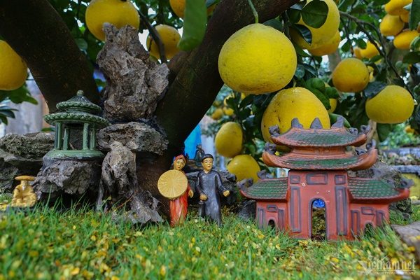 Vườn bưởi bạc tỷ bán Tết sớm bên hồ Tây-5