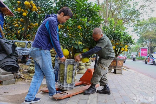 Vườn bưởi bạc tỷ bán Tết sớm bên hồ Tây-10