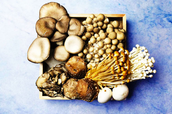Lý do bạn nên ăn nấm mỗi ngày-1