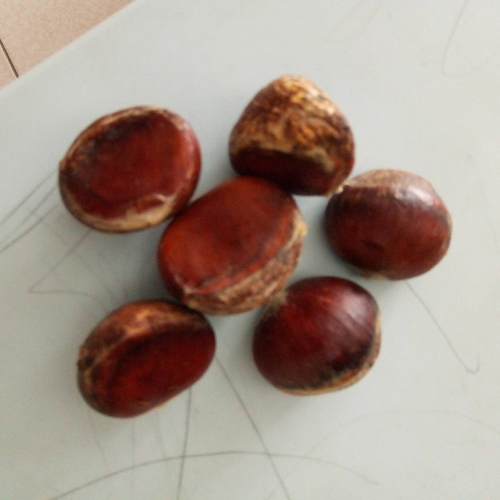 4 món canh dễ nấu cho bữa cơm mùa đông thêm ngon, từ người già đến trẻ nhỏ đều thích-7