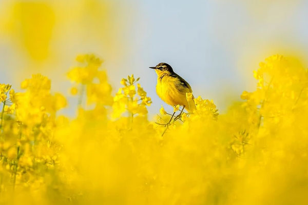 Top 4 tuổi giàu nhất tháng 12 âm: Đặc biệt số 1 sự nghiệp lên hương, tiền nhiều như nước-4