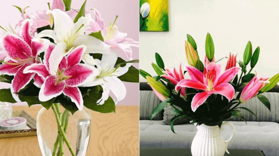 Có nên cắm hoa Ly lên bàn thờ không?-1