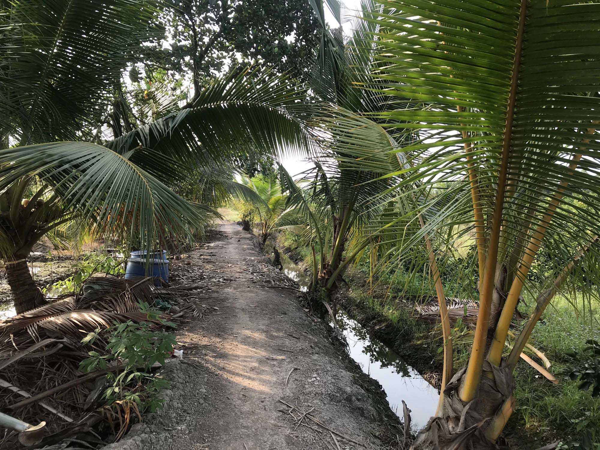 Sử dụng flycam, chó nghiệp vụ xuyên đêm truy bắt kẻ giết người ở TP HCM-1