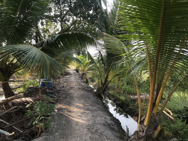 Manh mối hiếm hoi về nghi phạm giết người ở TP.HCM đang bị hàng trăm cảnh sát truy lùng-3