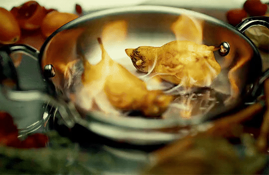 Sự thật đằng sau món ăn tội lỗi của giới quý tộc Pháp: Cách chế biến tàn độc bậc nhất thế giới, khi ăn bắt buộc phải trùm đầu-2