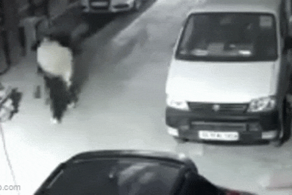 Đâm xe vào cổng Nhà Trắng, một người đàn ông bị bắt khẩn cấp-1