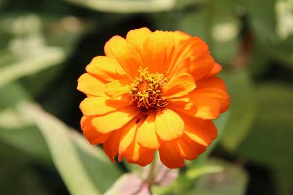 Kiên nhẫn, quyết đoán: người sinh 3 tháng Âm lịch này kinh doanh phát lộc, tương lai giàu có-1