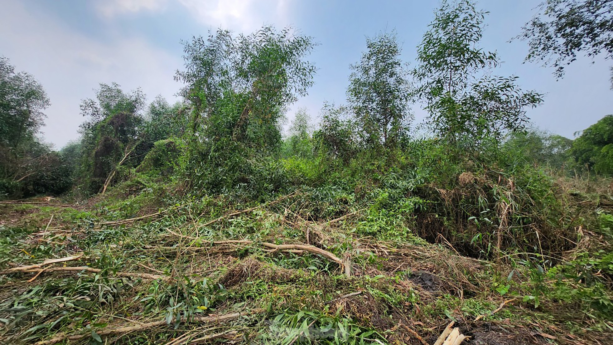 Khoảnh khắc nghi can giết người ở TPHCM bị khống chế-11