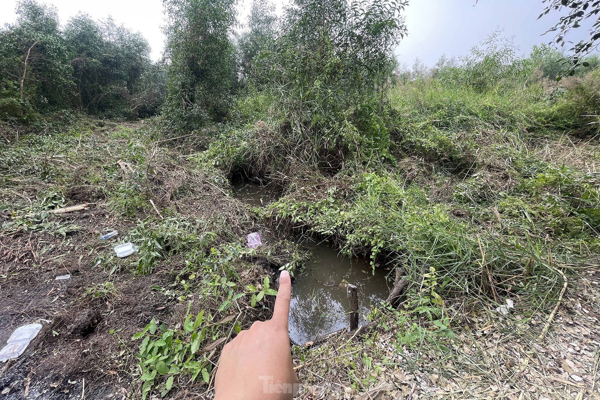 Khoảnh khắc nghi can giết người ở TPHCM bị khống chế-4