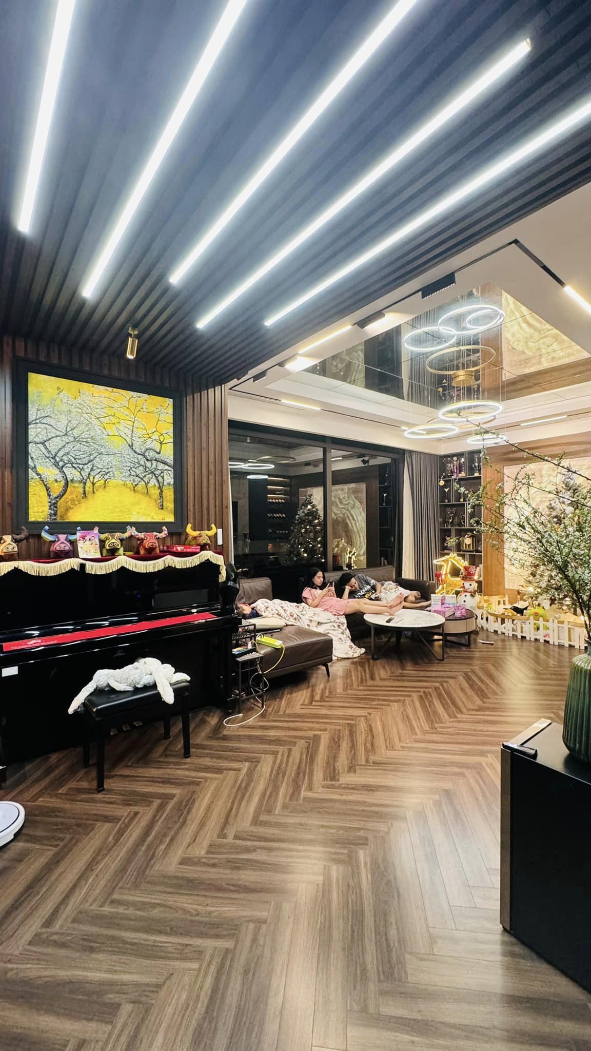 Cùng gặp scandal như Hồ Hoài Anh, Hồng Đăng có kết thúc viên mãn hơn, liên tục khoe thêm không gian sống-3