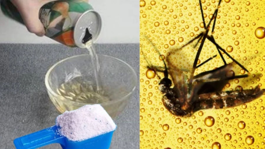 Trộn bột giặt với nước bia thừa, công dụng bất ngờ, tiết kiệm tiền và nhà ai cũng cần-1