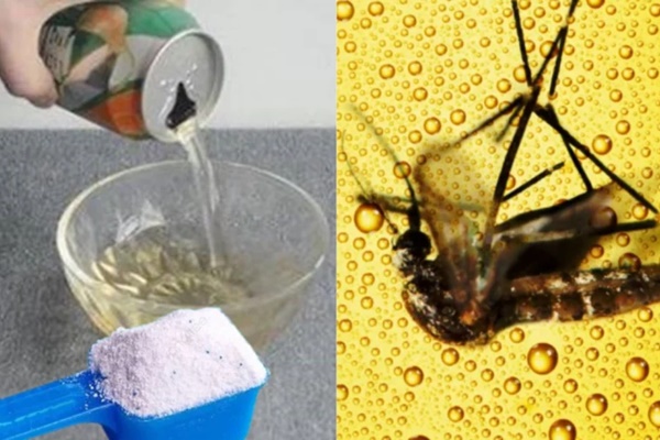 Chọn gạo nếp thơm ngon phải biết nhìn vào vị trí này trên hạt gạo đảm bảo nấu xôi dẻo thơm, bánh chưng rền-4