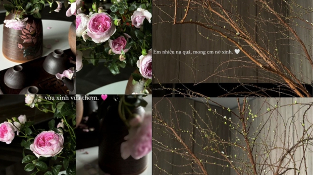 Doãn Hải My xinh bất chấp qua loạt ảnh đời thường cùng Đoàn Văn Hậu, trổ tài nữ công gia chánh chăm sóc nhà tân hôn-2