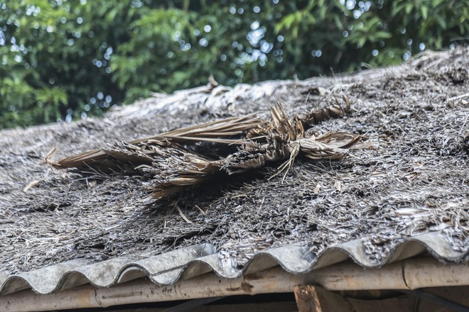 Xót xa 3 đứa trẻ mồ côi mẹ sau tai nạn giao thông, nương tựa vào bố tật nguyền: Mất mẹ là mất mát quá lớn đối với cuộc đời cháu-19