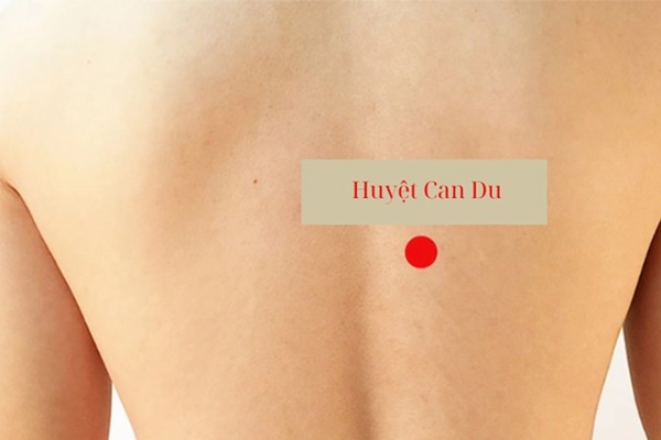 Trên cơ thể có 4 điểm trường thọ”, xoa bóp thường xuyên giúp ngừa ung thư mà không tốn 1 xu-2