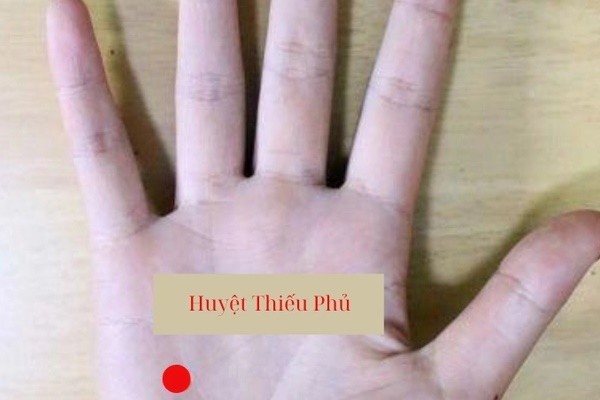 Trên cơ thể có 4 điểm trường thọ”, xoa bóp thường xuyên giúp ngừa ung thư mà không tốn 1 xu-3