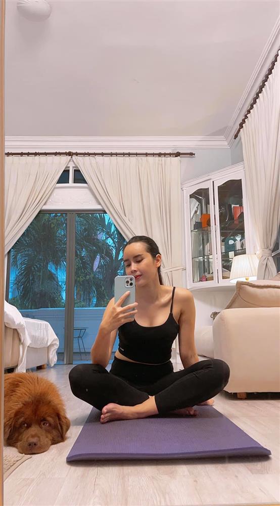 Giữa thông tin đã ly hôn, Hồ Hoài Anh và Lưu Hương Giang đã từng sống hạnh phúc trong căn nhà như thế nào?-14