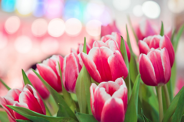 3 con giáp đỏ nhất Giáp Thìn 2024: Qua hạn Tam tai, lội ngược dòng ngoạn mục, Tiền-Tình rực rỡ-4